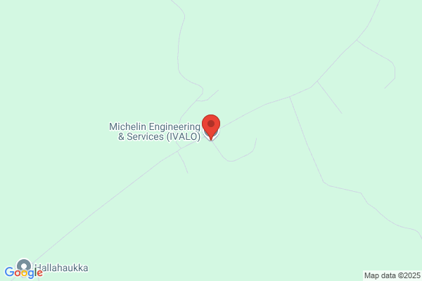 Michelin Services