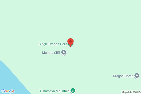 Horn Dragon