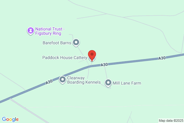Paddock House Cattery