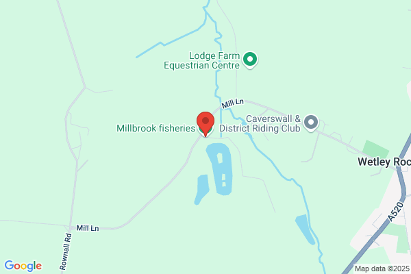 Millbrook Trout Farm