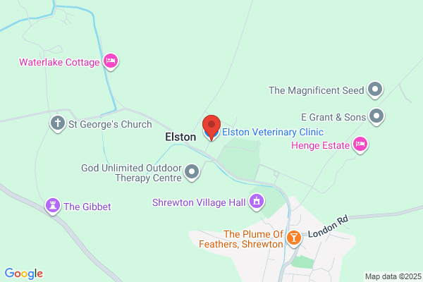 Elston Veterinary Clinic