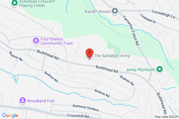The Salvation Army