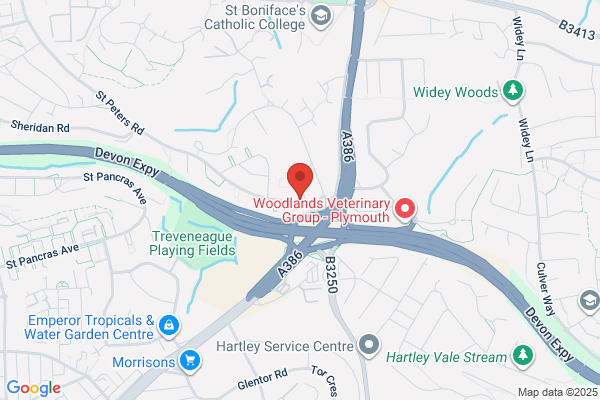 Manadon Vale Primary School
