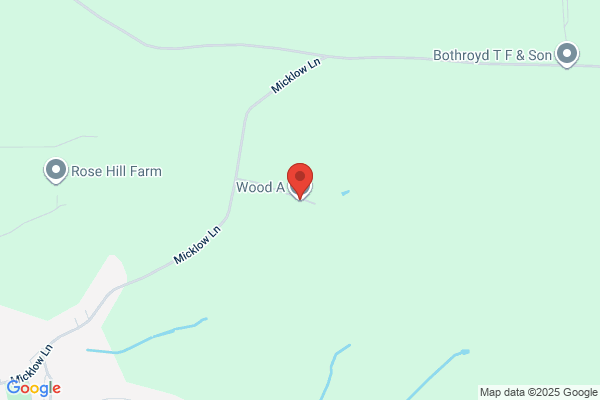 A Wood