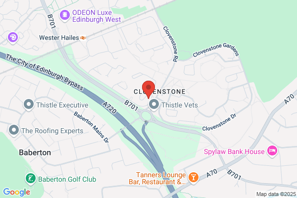 Greystone Decorators