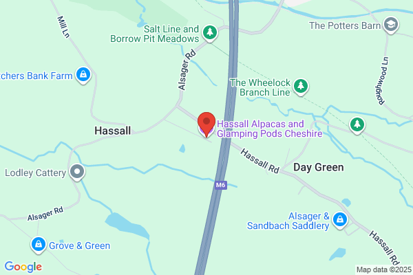 Hassall Alpacas