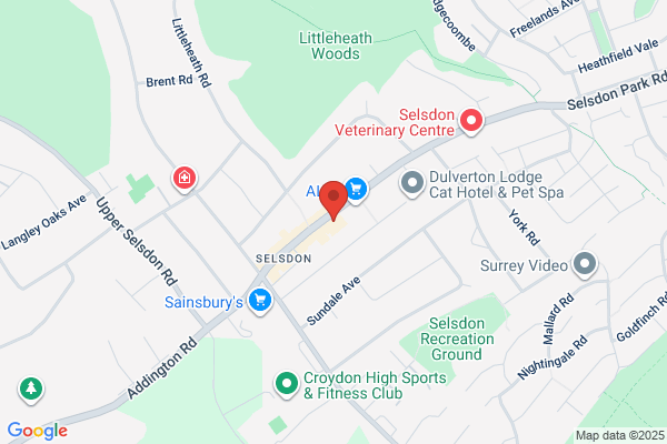 Domino's Pizza - London - Selsdon