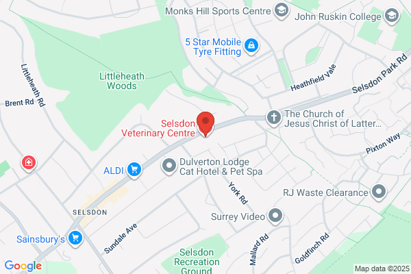 Selsdon Veterinary Centre