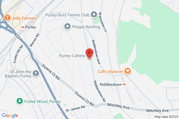 Purley Cattery