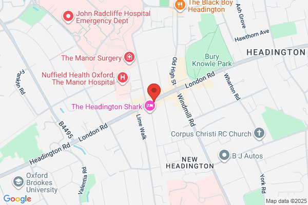 Wasp Pest Control Oxford