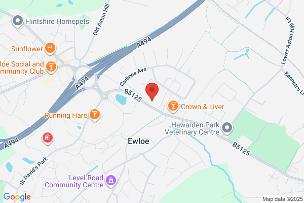 Co-op Food - Ewloe