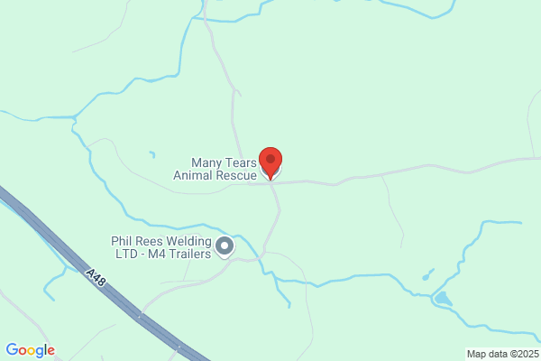 Tenby Animal Rescue Centre