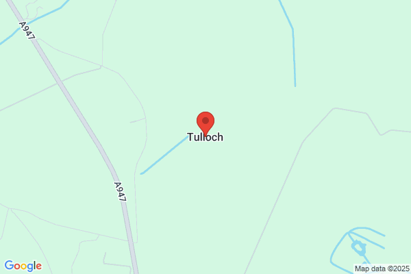 Andy Tulloch