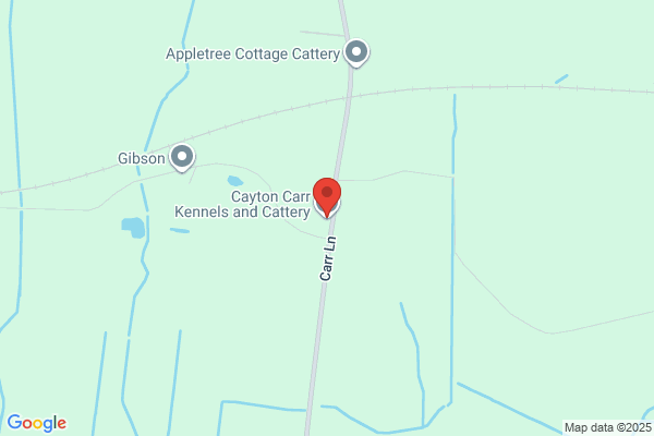 Cayton Carr Kennels