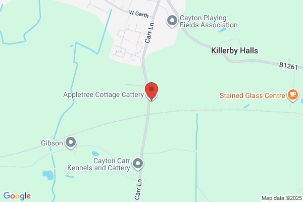 Fieldside Cattery