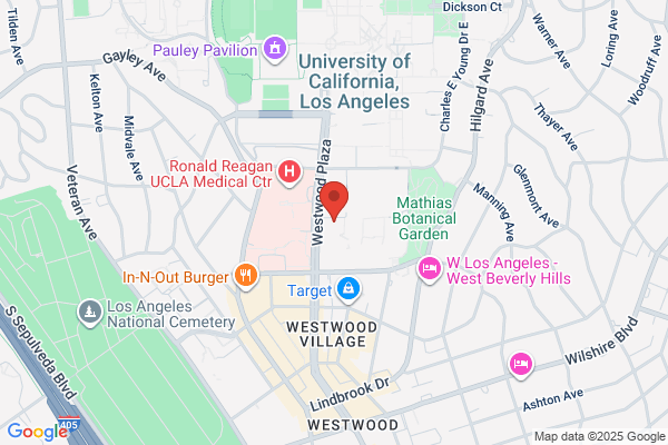 Dr L J C Bartlett