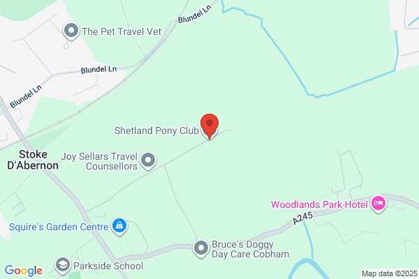 Shetland Pony Parties for Kids