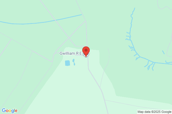R E Gwilliam