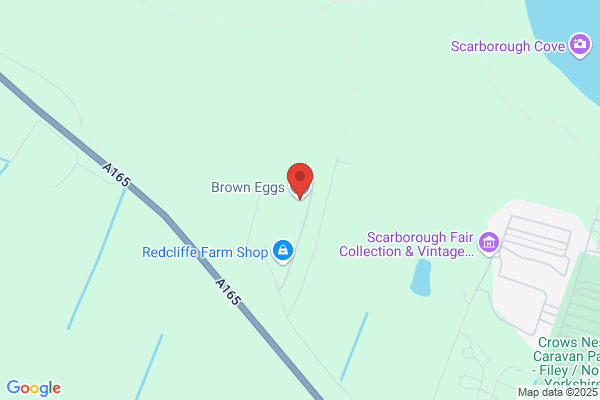 Brown Eggs Ltd
