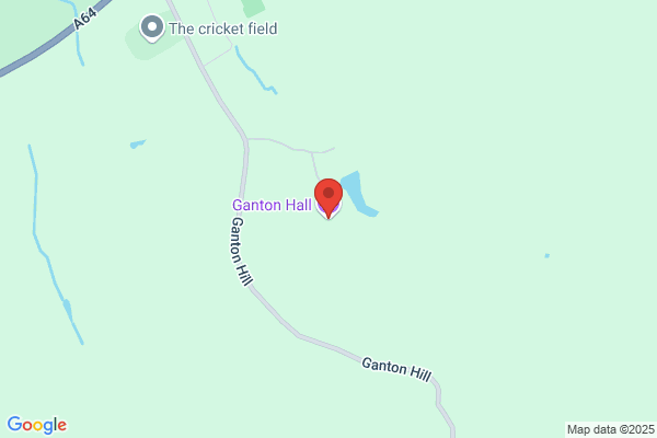 Ganton Greyhound