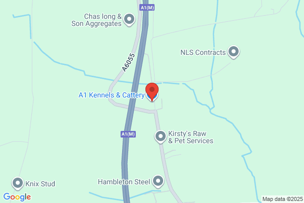 A1 Kennels & Cattery