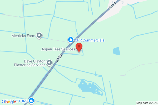 Aspen Tree Services