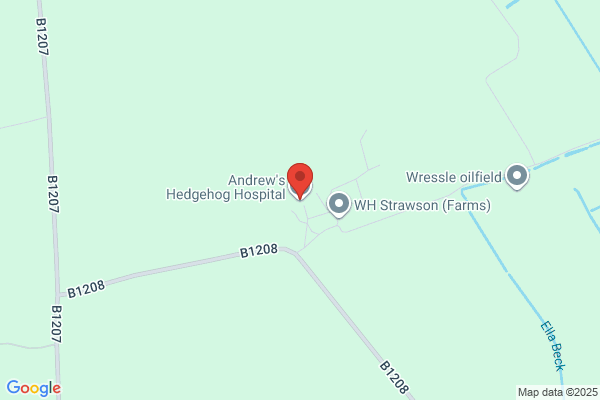 Andrew's Hedgehog Hospital