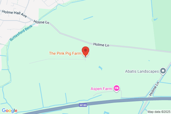 South Humber Pigs