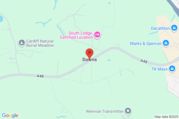 Downs 60