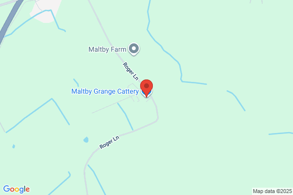 Maltby Grange Cattery