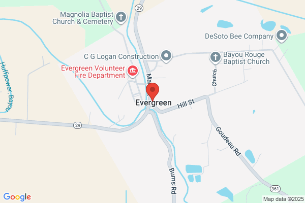 The Evergreens