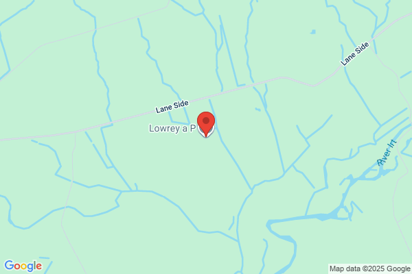 A P Lowrey