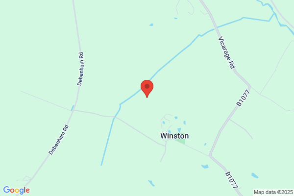 Winstons