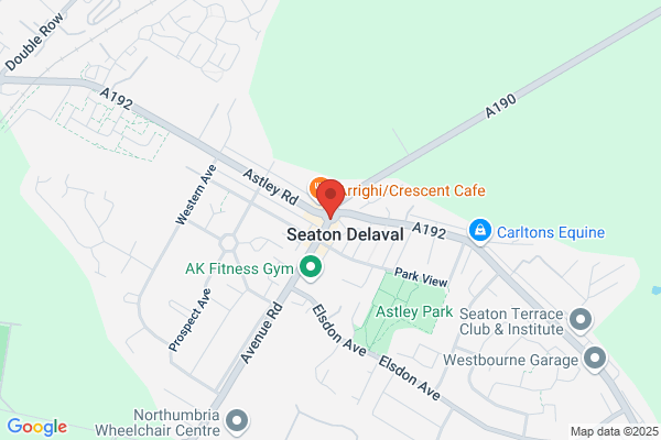 K-9 Comprehensive Limited