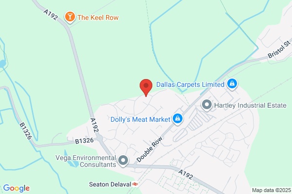Petiquette Collars