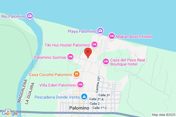 Palomino Tours