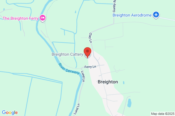 Breighton Cats' Lodge