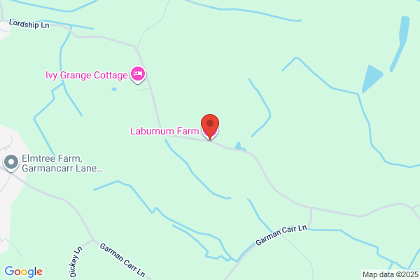 L N Falkingham