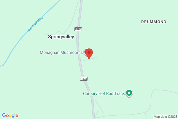 Carbury Park Mushrooms Ltd
