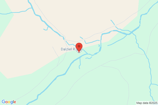 R Dalziel