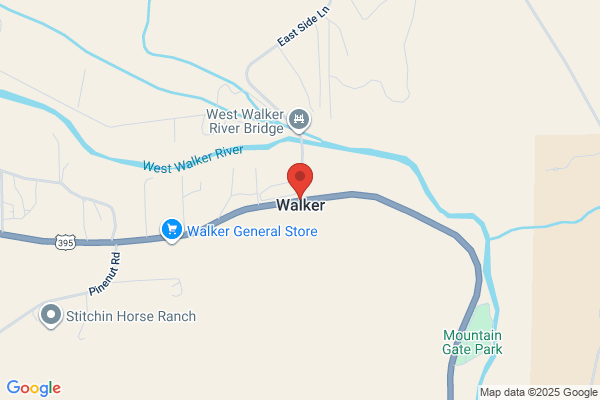 C Walker