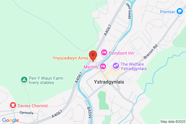 Ynyscedwyn Arms