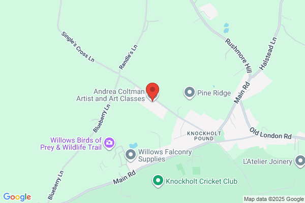 Andrea Coltman Artist and Art Classes