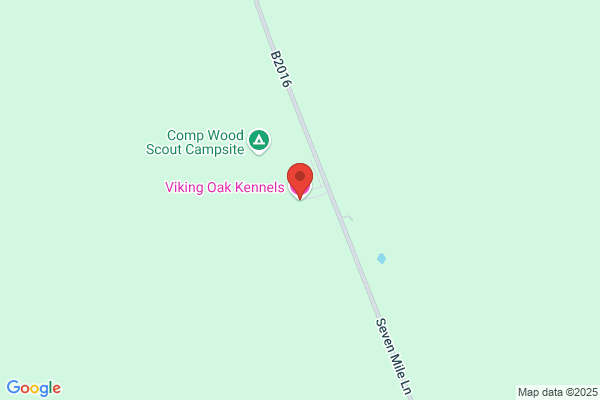 Viking Oak