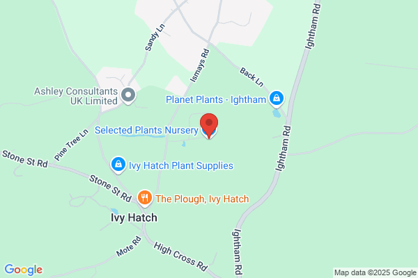 Salient Plant Ltd