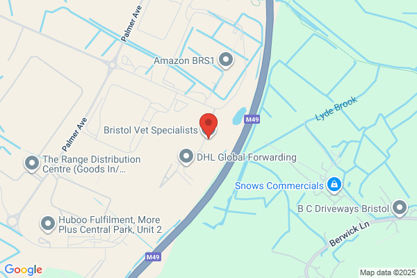 Bristol Vet Specialists