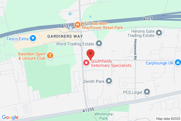 Transcribe Thames Group