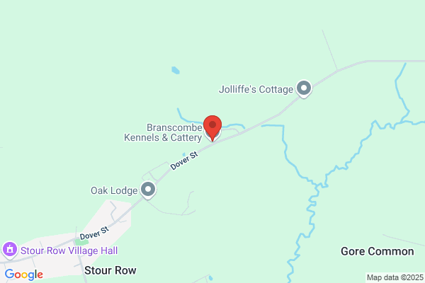 Branscombe Kennels & Cattery