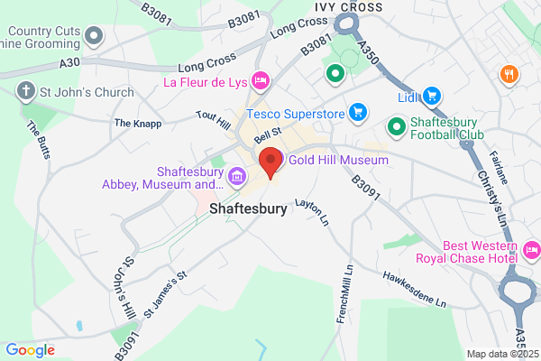 Shaston Team Office