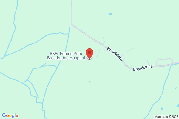 B&W Equine Vets - Breadstone Hospital